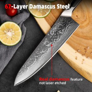 Sunnecko Chef Knife 8 Inch, Damascus Kitchen Knife Japanese Chefs Knife Vg10 High Carbon Stainless Steel