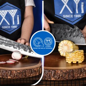 XYJ 10-pcs Kitchen Knife Set,Forged Chef Knives,Vegetable Meat Cleaver,Carving,Nakiri,Full Tang,Cutlery Knife With Carry Bag,&Poultry Scissor (Coffee)