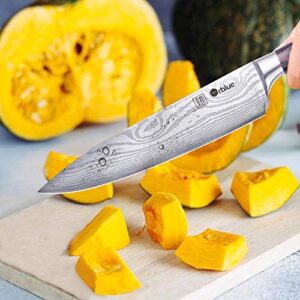 Orblue Chef Knife, 8-Inch High Carbon German Stainless Steel Kitchen Chef's Knife for Cutting, Chopping, Dicing, Slicing & Mincing – Professional Cooking Knife with Ergonomic Handle & Sharp Blade