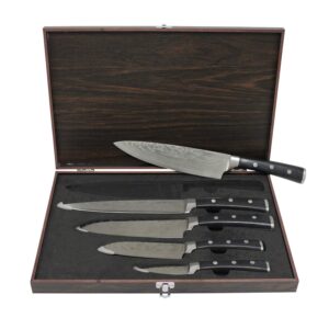 berghoff antigua 5pc knives with case german steel etched blade ergonomically designed triple-riveted handle sharp & well balanced satin finish