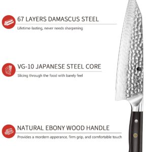 BRODARK Japanese Chef Knife, Damascus Chef Knife 8 inch with Japanese VG-10 Steel Core, Ultra-Sharp Professional Kitchen Knife, Handcrafted with Ebony Wood Handle, Holiday Gifts