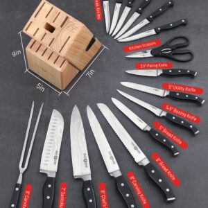 Kitchen Knife Set, PARIS RHÔNE 16-Piece High-Carbon Stainless Steel Knife Set with Block, Chef Knife, Bread Knife, Paring Knife, Built-in Sharpener, Ergonomic ABS Full Tang Handle, All-in-One