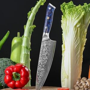 SANMUZUO Chef Knife - 8 inch - Xuan Series - VG10 Damascus Steel Kitchen Knife - Resin Handle (Sapphire Blue)