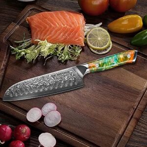 SANMUZUO Santoku Knife - 7 inch - Xuan Series - VG10 Damascus Steel Kitchen Knife - Resin Handle (Fantasy Orange)