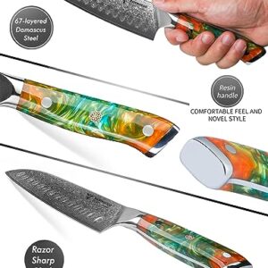 SANMUZUO Santoku Knife - 7 inch - Xuan Series - VG10 Damascus Steel Kitchen Knife - Resin Handle (Fantasy Orange)