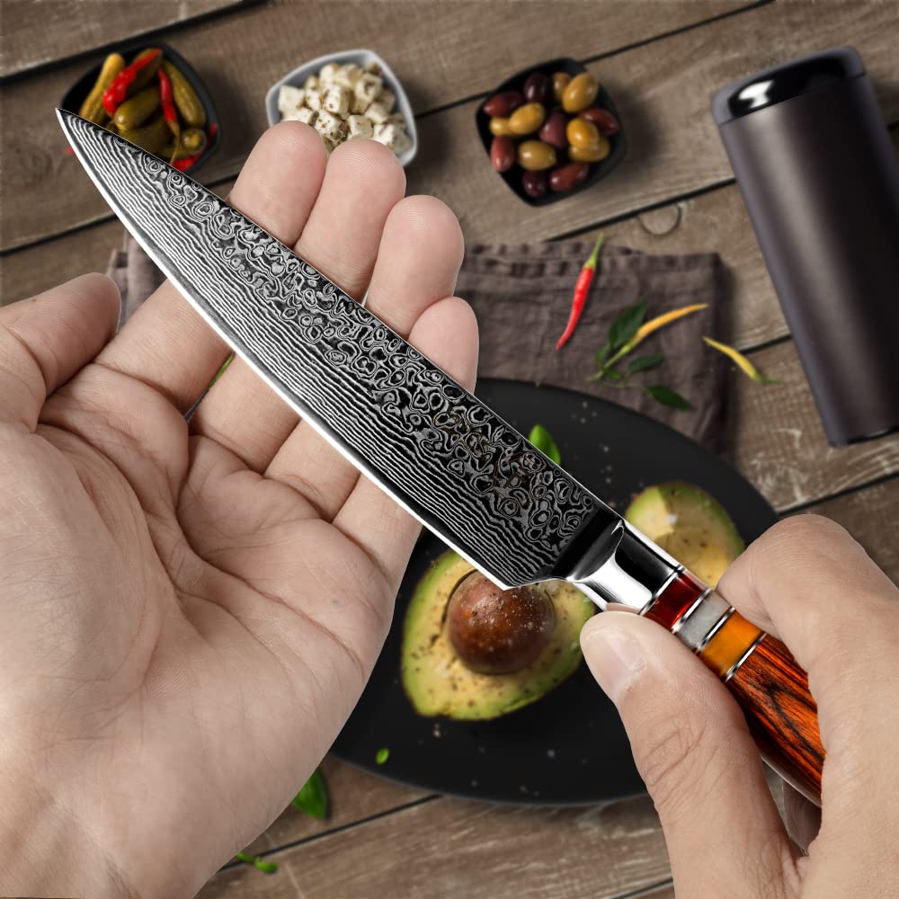 FANTECK Utility Knife 6 Inch, Japanese Damascus Kitchen Petty Knife, VG10 67 Layer Pro Razor Sharp Cutting Fruit Carving Chef’s Paring Knives with Sheath& Gift box, Ergonomic Pakkawood Handle