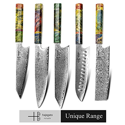 Damascus Chef Knife Gyuto Hajegato Unique One Of Kind Handle Professional 8 Inch Japanese Chefs Kitchen Knife Vg10 67 Layers Damascus Steel Knive with Sheath