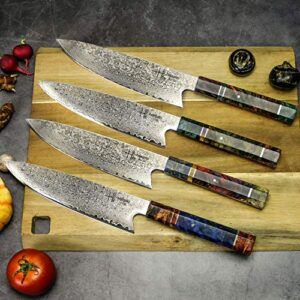 Damascus Chef Knife Gyuto Hajegato Unique One Of Kind Handle Professional 8 Inch Japanese Chefs Kitchen Knife Vg10 67 Layers Damascus Steel Knive with Sheath