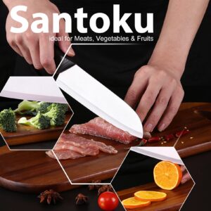Rynal Ceramic Knife Santoku Knife Meats Fruits Vegetables Knife - Sharp Ceramic Kitchen Knife with Sheath Cover - 7 Inch Black