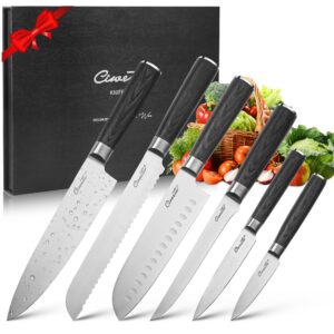 ciwete chef knife set, 6-piece kitchen knife set with upgrade 3cr13 stainless steel ultra sharp blades, knives set with well balanced wood handle, chefs knife set with gift box
