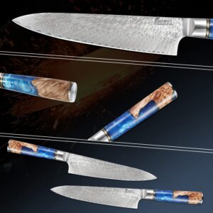 Damascus Chef Knife 8 Inch, Made of High Carbon VG10 Steel Damascus Kitchen Knife with Ergonomic Resin Wood Handle