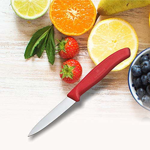 Victorinox VIC-6.7601 Swiss Classic Paring 3¼" Straight Spear Point Blade 5/8" Width at Handle Red