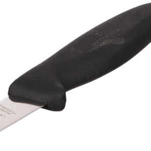 Victorinox 7" Fillet Knife, Straight Blade, Flexible, Black Fibrox Handle 5.3813.18