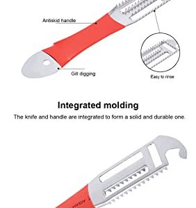 Fish Scaler Remover, Fish Scraper Fast Cleaning Fish Skin, Fish Scale Remover with Stainless Steel Sawtooth Easily Remove Fish Scales-Cleaning Brush Kitchen Descaler Tool