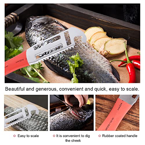 Fish Scaler Remover, Fish Scraper Fast Cleaning Fish Skin, Fish Scale Remover with Stainless Steel Sawtooth Easily Remove Fish Scales-Cleaning Brush Kitchen Descaler Tool