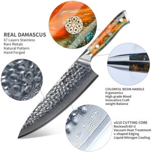 SANMUZUO 8" Chef Knife - Professional Kitchen Knife - Hammered Damascus Steel & Resin Handle - YAO Series