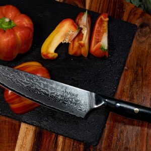 OXFORD CHEF Chefs Knife 8 inch Best Damascus- Japanese- VG10 Super Steel 67 Layer High Carbon Stainless Steel-Razor Sharp, Stain & Corrosion Resistant, Awesome Edge Retention