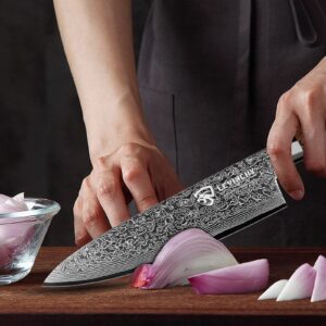LEVINCHY Damascus Chef's Knife 8 inch Professional Handmade Damascus Stainless Steel Kitchen Knife, Superb Edge Retention, Stain & Corrosion Resistant, Ergonomic PAKKA Wood Handle