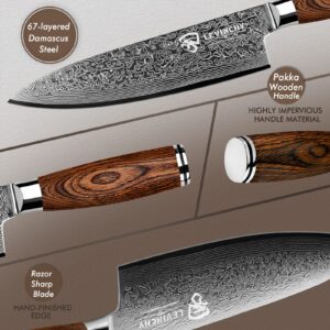 LEVINCHY Damascus Chef's Knife 8 inch Professional Handmade Damascus Stainless Steel Kitchen Knife, Superb Edge Retention, Stain & Corrosion Resistant, Ergonomic PAKKA Wood Handle