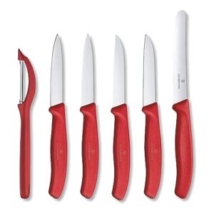 victorinox swiss army 6.7111.6g swiss classic knife set red set of 6