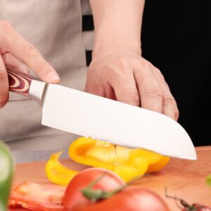 LUVCOSY Santoku Knife, 7 Inch Japanese Chef Knife with Ergonomic Pakkawood Handle, Stainless Steel Cooking Knife with Gift Box, Razor Sharp Home Kitchen Knife for Cutting Meat/Vegetables/Fruits/Bread