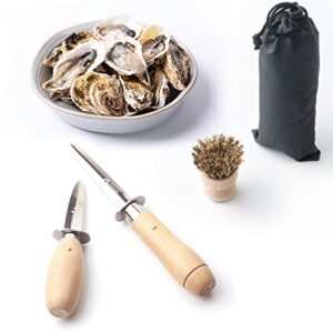 ROEDEER Oyster/Clam Knife Shucker Set,Oyster Shucking Knifes(3.7"+2.4") and Cut Resistant Level 5 Gloves,Perfect Seafood Opener Tools Kit(2knifes+1Glove+1Brush)