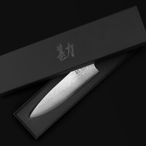 KAN Core Chef Knife 8-inch VG-10 67 layers Damascus Ambidextrous (Non-Hammered VG-10 Blade, Ebony Handle)