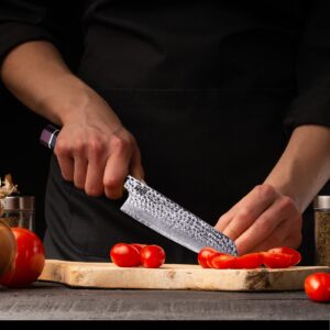 FINDKING Eternity Series Japanese Kiritsuke Knife with ABS sheath, Multi-Purpose Gyuto Chef knife, 9Cr18MoV Damascus Steel Blade, Resin Octagonal Handle, for Meat, Fruits, Vegetables,9 Inches
