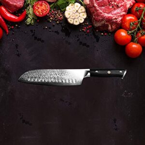 LEVINCHY Damascus Santoku Knife 7 inch Professional Japanese Damascus Stainless Steel with Black Premium G10 Handle, Superb Edge Retention, Stain & Corrosion Resistant Ergonomic