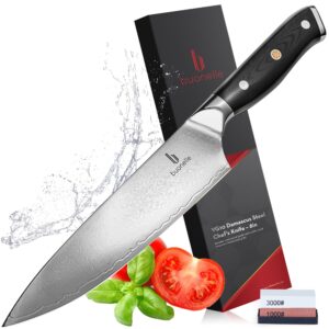 Japanese Damascus Chef Knife with Whetstone Sharpener – 8 inch Professional VG10 Chefs Knife – Full Tang Sharp Japanese Chef Knife with G10 Handle and Protective Sheath