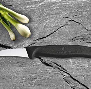 Victorinox VIC-6.7503 Swiss Classic Paring 2½" Shaping Spear Point Blade 5/8" Width at Handle Black