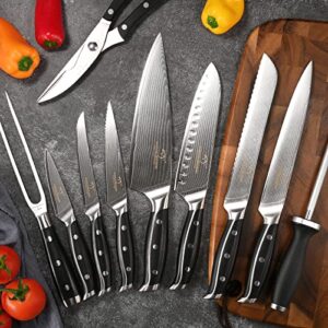 Damascus Knife Set with Block for Kitchen, VG10 Steel and Triple Rivet Handle, Included Serrated Steak Knife Set of 6, Meat Fork, Chef Knife Set, Knife Sharpener,Kitchen Scissor, Knife Block