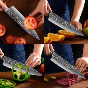 AMSZL Damascus Chef Knife 8-inch Japanese VG10 Stainless Steel Sharp Professional Kitchen knife, Hammered Forged, Ergonomic Ebony Handle, with GiftBox