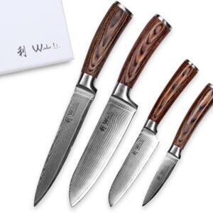 Wakoli EDIB 4-pcs Damascus Knife Set I Professional Kitchen Knives made of Japanese Damascus Steel VG10 Chef Knife Set with Pakka Wood Handle in Gift Box