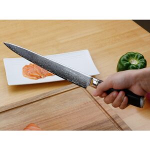 YOUSUNLONG Sashimi Knife 10 inch Fish Fillet Knife Yanagiba Slicer Sushi - Japanese Hammer Damascus Steel Blade - 254mm Right Handed Carving Knife - Natural Walnut Wood Sheath with Flannel Knife Bag