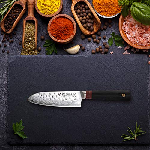 TUO Santoku Knife, 5.5” Japanese High Carbon Damascus Stainless Steel Blade, Dishwasher Safe, Black Fiberglass Handle, Asian Kitchen Knife For Home And Restaurant, Includes Gift Box