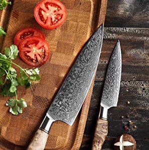 HEZHEN-67 LAYES Damascus Steel Kitchen Knife Set 2PCS,8.3'' Chef knife 5" Utility Knife Figured Sycamore Wood Handle with Gift Box