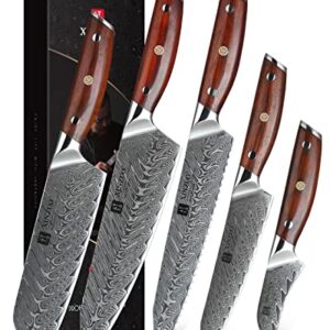 XINZUO 5-Piece Damascus Kitchen Knife Set, 67 Layer High Carbon Stainless Steel Forged Blade,Professional Chef Knife Set with Gift Box,Razor Sharp,Rosewood Handle - Yi Series