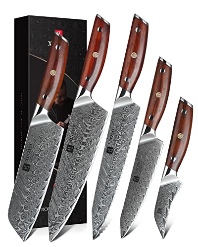 XINZUO 5-Piece Damascus Kitchen Knife Set, 67 Layer High Carbon Stainless Steel Forged Blade,Professional Chef Knife Set with Gift Box,Razor Sharp,Rosewood Handle - Yi Series