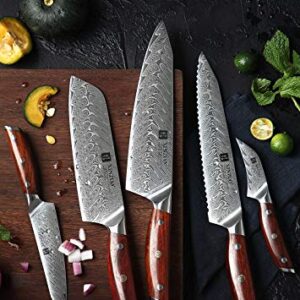 XINZUO 5-Piece Damascus Kitchen Knife Set, 67 Layer High Carbon Stainless Steel Forged Blade,Professional Chef Knife Set with Gift Box,Razor Sharp,Rosewood Handle - Yi Series