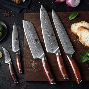 XINZUO 5-Piece Damascus Kitchen Knife Set, 67 Layer High Carbon Stainless Steel Forged Blade,Professional Chef Knife Set with Gift Box,Razor Sharp,Rosewood Handle - Yi Series