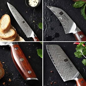 XINZUO 5-Piece Damascus Kitchen Knife Set, 67 Layer High Carbon Stainless Steel Forged Blade,Professional Chef Knife Set with Gift Box,Razor Sharp,Rosewood Handle - Yi Series