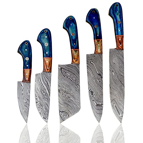 Handmade 5 Pieces Set, Knife Hand Forged Chef Knives Kitchen Set Damascus Steel Knives Gift Item for Her,Fine Tool Professional Chef Knives Set Vegetable Meat Cooking Knife with BLUE Solid Wood Handle