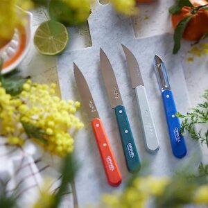 Opinel Les Essentials Small Kitchen 4 Piece Knife Set - Paring Knife, Serrated Knife, Peeler, Vegetable Knife, Corrosion Resistant High Carbon Steel, Made in France (Primavera)