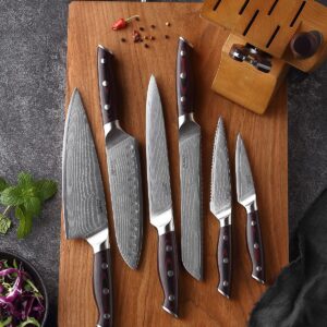 9-piece Damascus kitchen knife set/VG10 steel core 67-layer forged blade/super sharp and durable/built-in scissor sharpener with stopper/kitchen utility set/gift box (cherry color)