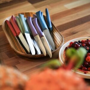 Opinel Bon Appetit + Table Knives, 4 Piece Set Steak Knives, High Carbon Steel Dinner Knives for Parties, Entertaining, or Everyday Use, Polymer Handles, Dishwasher Safe, Made in France (Lavender)