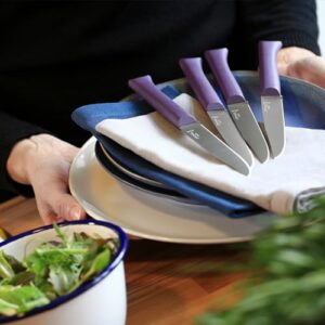 Opinel Bon Appetit + Table Knives, 4 Piece Set Steak Knives, High Carbon Steel Dinner Knives for Parties, Entertaining, or Everyday Use, Polymer Handles, Dishwasher Safe, Made in France (Lavender)