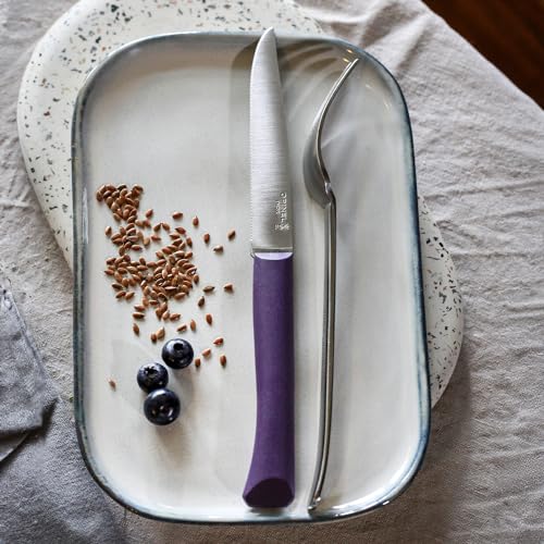 Opinel Bon Appetit + Table Knives, 4 Piece Set Steak Knives, High Carbon Steel Dinner Knives for Parties, Entertaining, or Everyday Use, Polymer Handles, Dishwasher Safe, Made in France (Lavender)