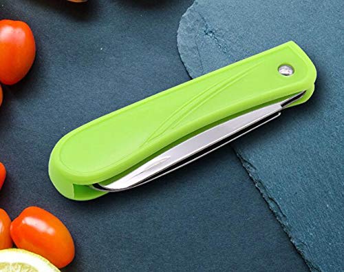 WOIWO 1PCS Stainless Steel Fruit Knife Portable Mini Household Fruit Knife Multi-purpose Folding Fruit Knife