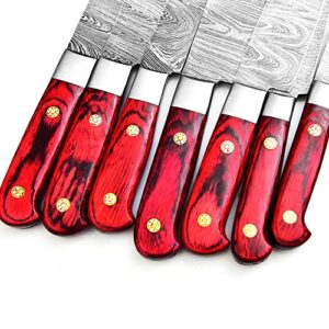 Professional Kitchen Knives Custom Made Damascus Steel 6 pcs of Professional Utility Chef Kitchen Knife Set Chef Knife with Roll Bag.